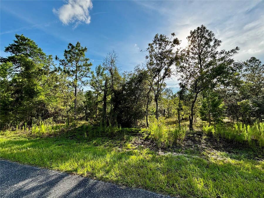 Property photo for Lot 24 SE 136 TERRACE, Dunnellon, FL