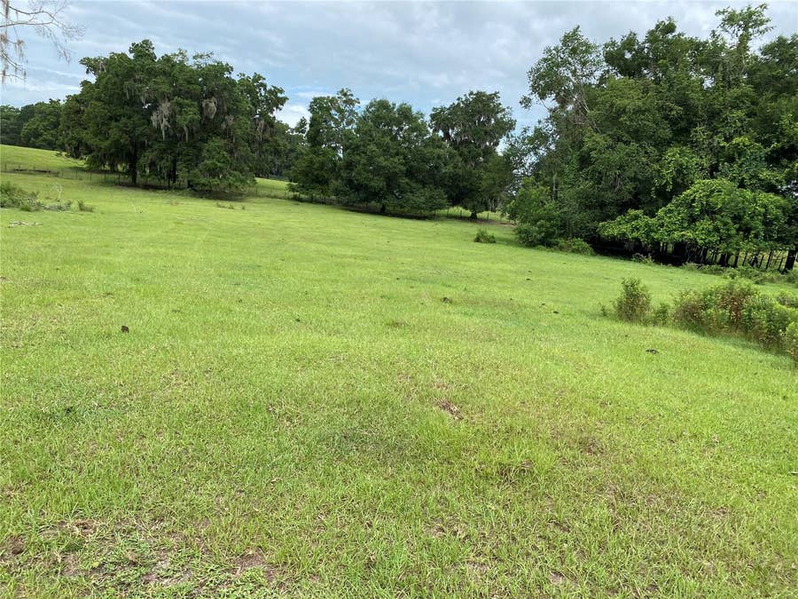 Property photo for 17249 NE 9TH AVENUE, Citra, FL