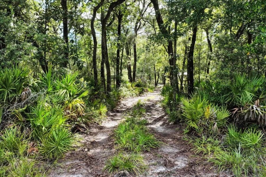 Property photo for 0000 SW COUNTY ROAD 347, Chiefland, FL