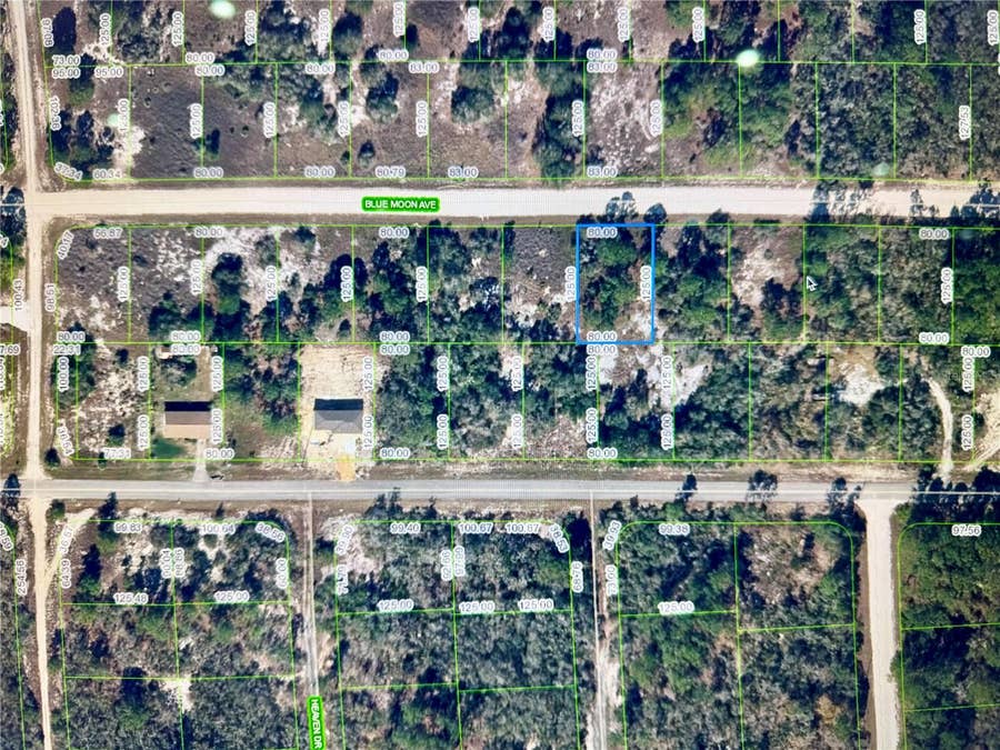 Property photo for 329 BLUE MOON AVENUE, Lake Placid, FL
