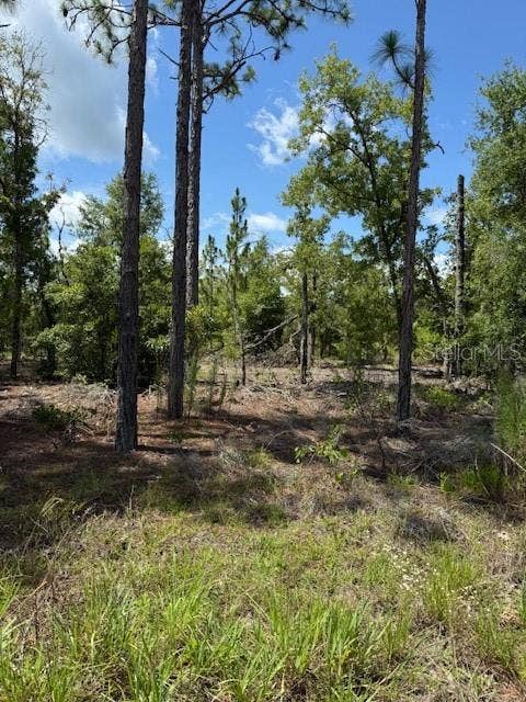 Property photo for 115 S DAKOTA STREET, Hawthorne, FL