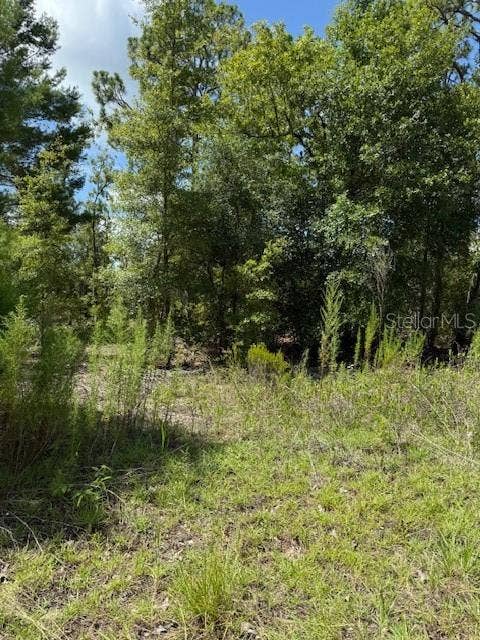 Property photo for 113 S DAKOTA STREET, Hawthorne, FL
