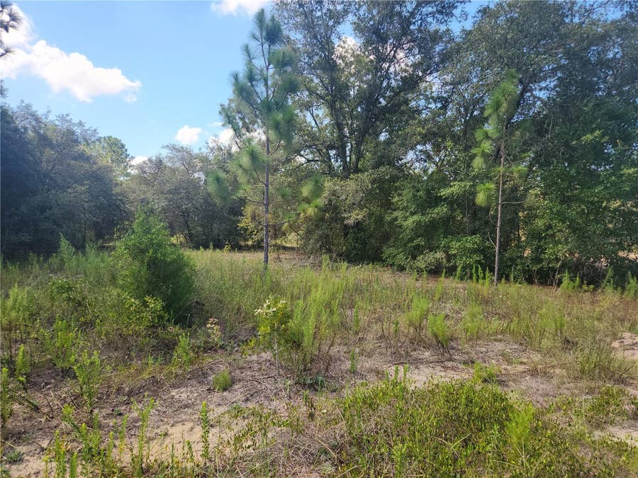 Property photo for LOT 21 SW RAINBOW LAKES BOULEVARD, Dunnellon, FL