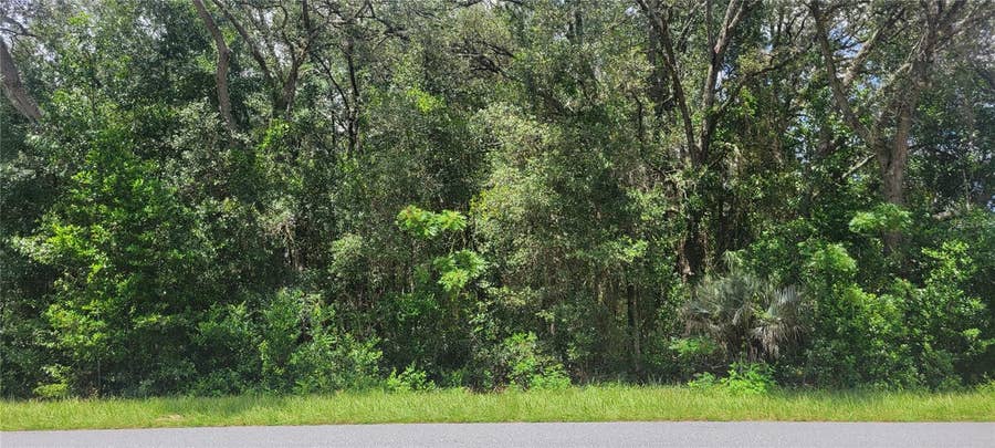 Property photo for 0 SW BEACH BOULEVARD, Dunnellon, FL