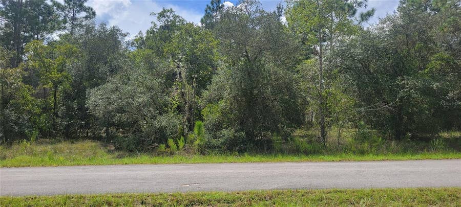 Property photo for 0 SW BIG BEAR RIDGE, Dunnellon, FL