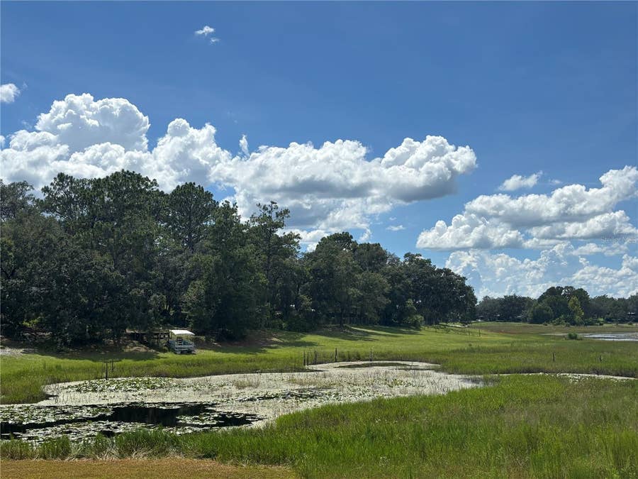 Property photo for 0 SE 180TH AVE, Ocklawaha, FL