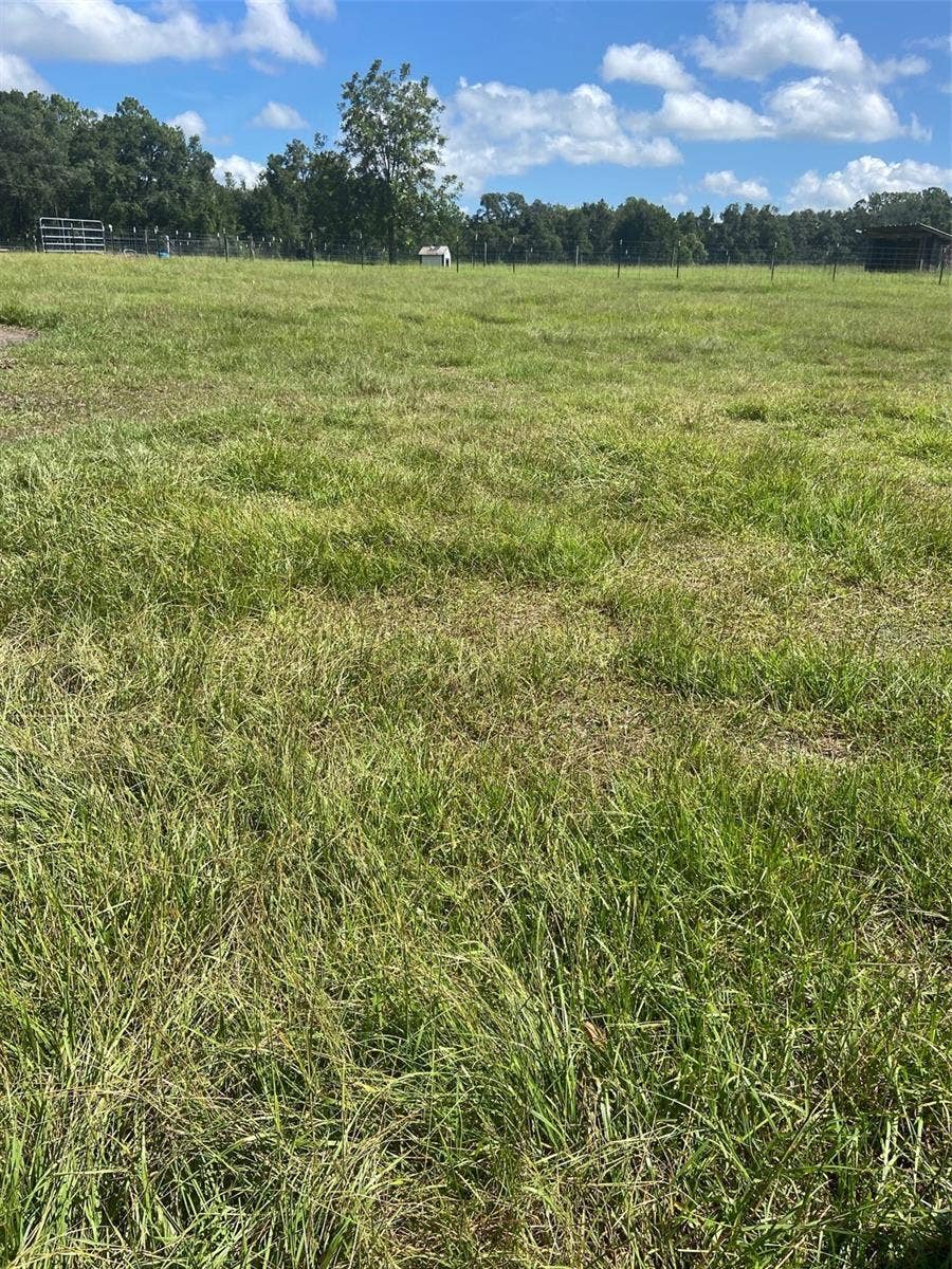 Property photo for 74 LOCUST RUN, Ocala, FL