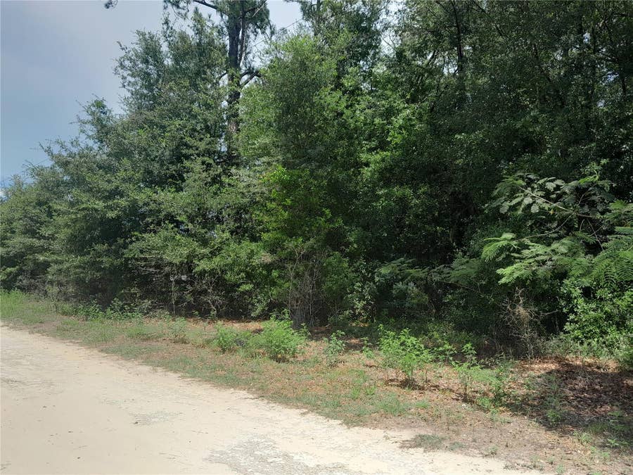 Property photo for SE 108TH TERRACE, Morriston, FL