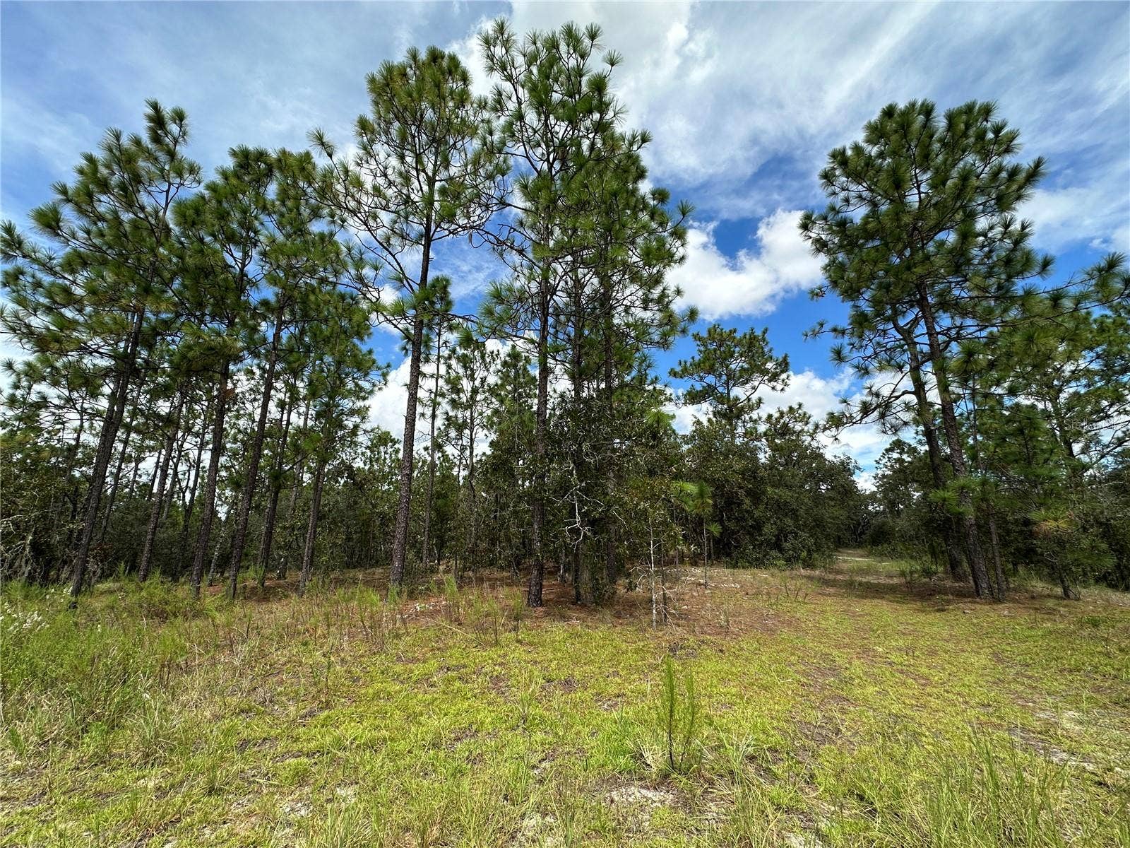TBD SE 105TH LANE, Dunnellon, FL 34431 TBD SE 105TH LANE, Dunnellon, FL 34431