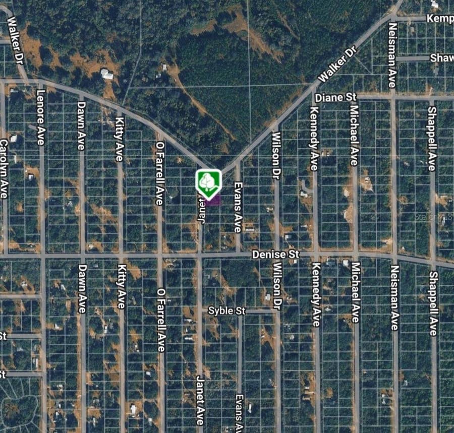 Property photo for LOT 3 JANET AVENUE, Interlachen, FL