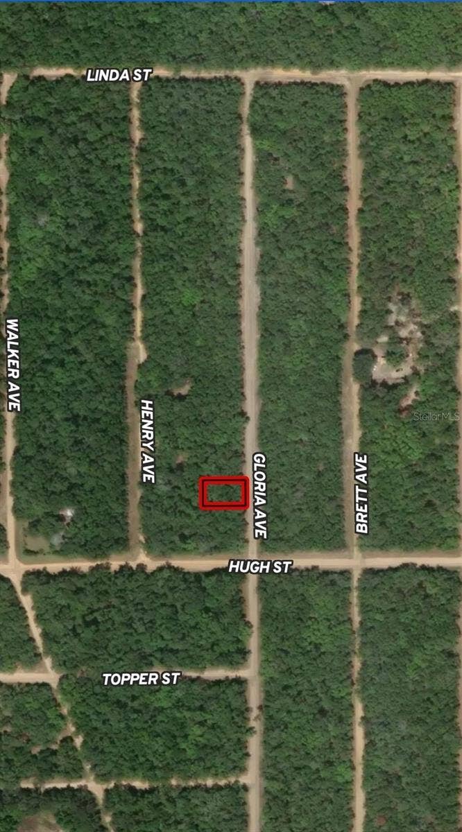Property photo for LOT 20 GLORIA AVENUE, Interlachen, FL