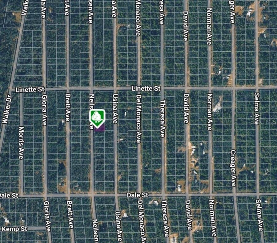 Property photo for LOT 7 NEILSEN AVENUE, Interlachen, FL