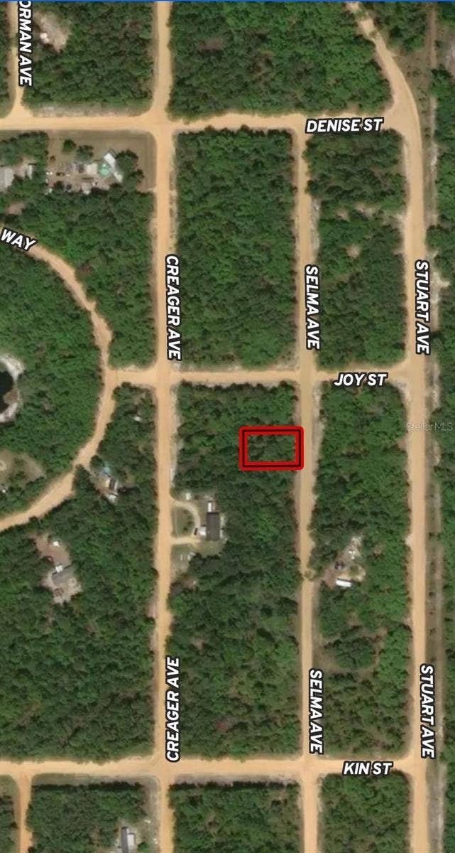 Property photo for LOT 19 SELMA AVENUE, Interlachen, FL