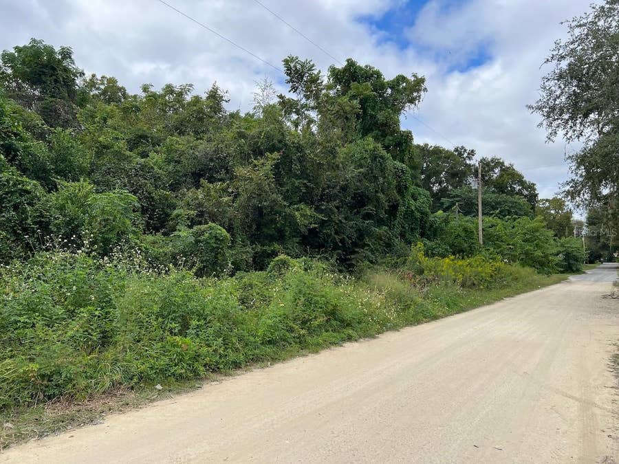 Property photo for 000 NE 40TH PLACE, Williston, FL