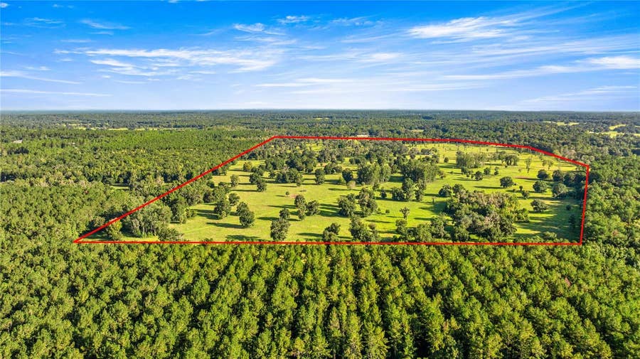 Property photo for 17748 N HWY 329, Reddick, FL