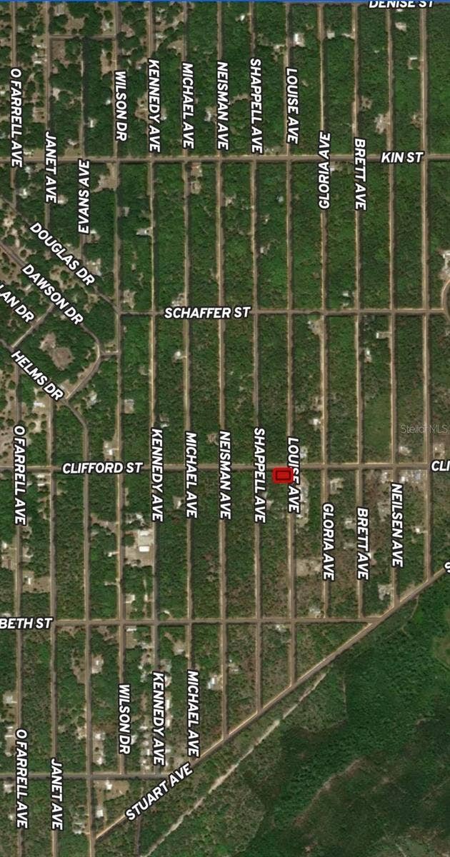 Property photo for LOT 36 LOUISE AVENUE, Interlachen, FL