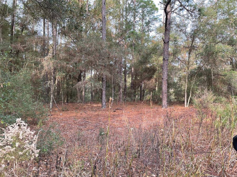 Property photo for LOT 9 SW 152ND AVENUE, Ocala, FL