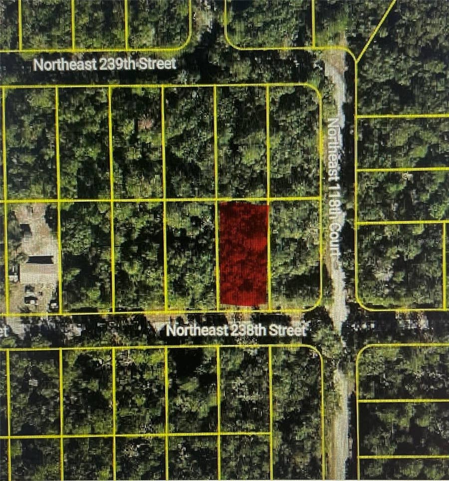 Property photo for TBD NE 238TH STREET, LOT 11, Fort Mc Coy, FL
