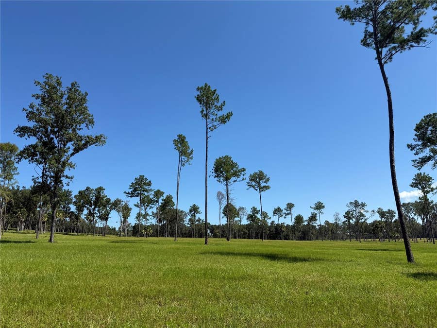 Property photo for DR #5 (24ac) NW 193RD ST, Micanopy, FL