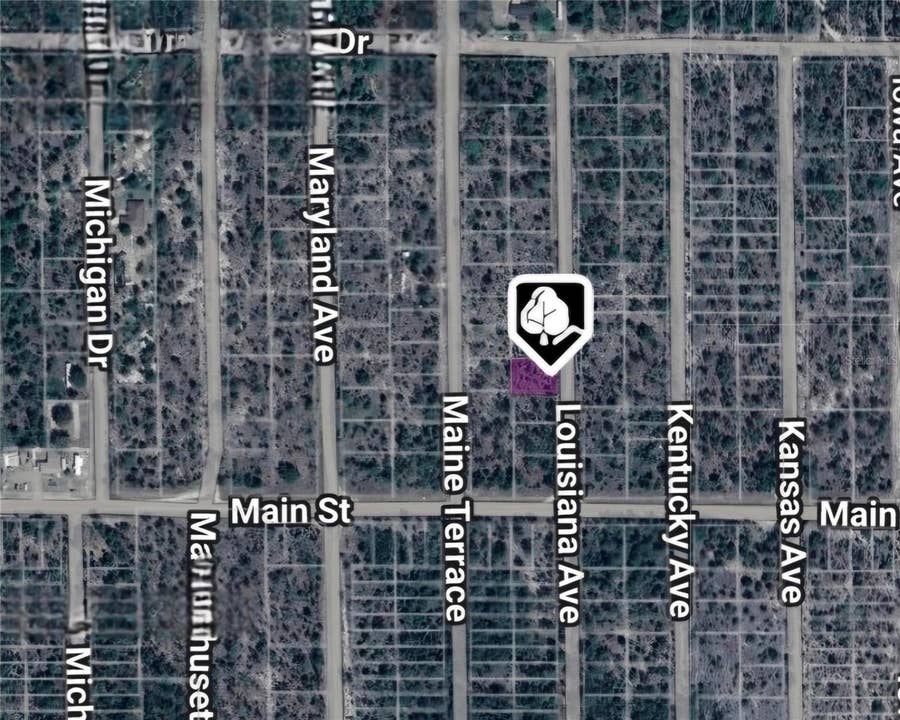 Property photo for LOT 19 AND 20 LOUISIANA AVENUE, Hawthorne, FL