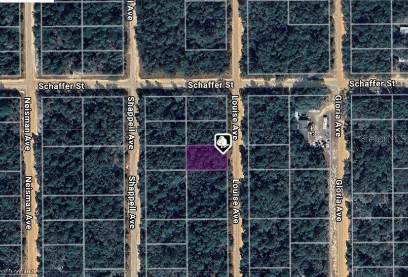 Property photo for LOT 22 LOUISE AVENUE, Interlachen, FL