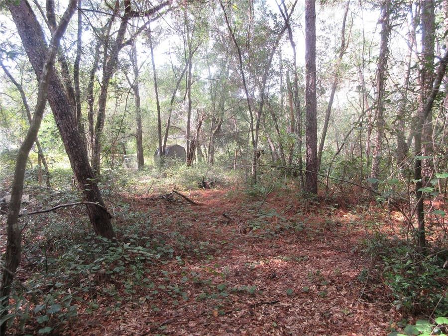 Property photo for NE 171ST COURT, Silver Springs, FL