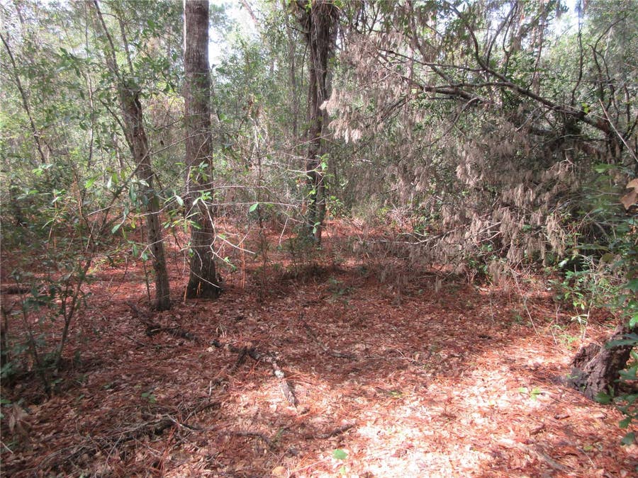 Property photo for NE 171ST COURT, Silver Springs, FL