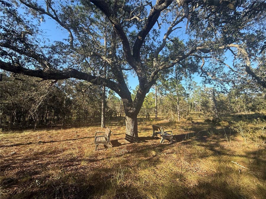 Property photo for 00 SE 73RD LANE, Morriston, FL