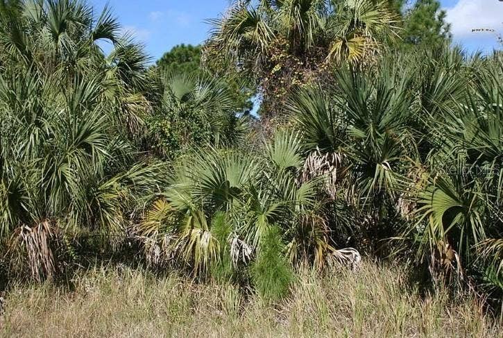 Property photo for 281 FARMINGTON STREET SW, Palm Bay, FL