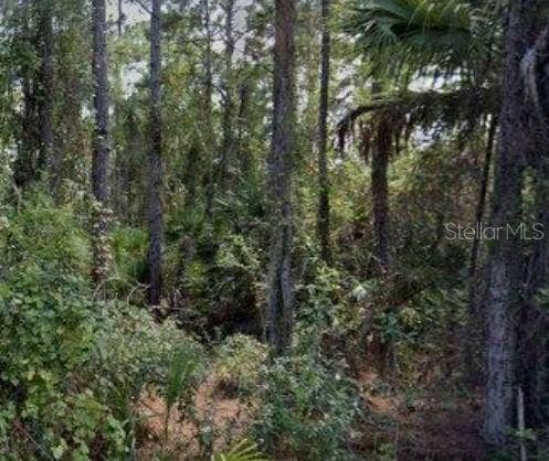 Property photo for 188 TUDOR ROAD SW, Palm Bay, FL