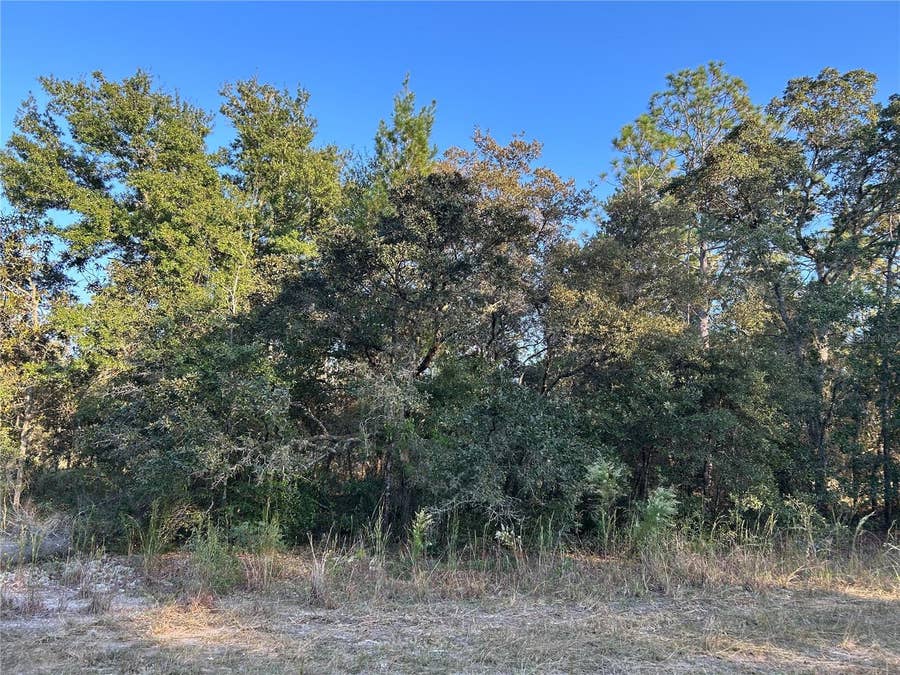 Property photo for TBD NE 148 TERRACE, Williston, FL