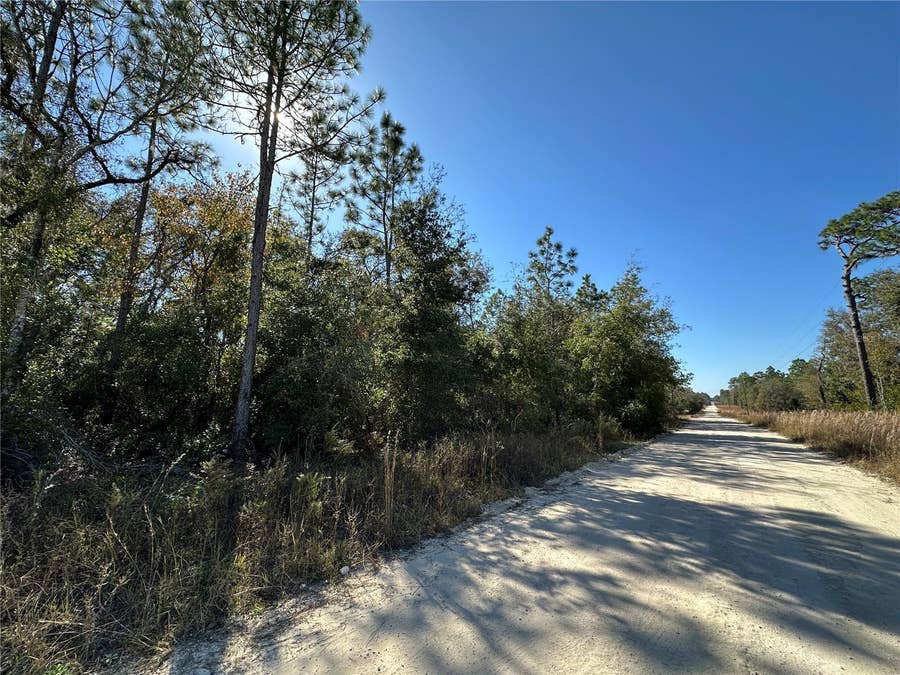 Property photo for TBD NE 15TH STREET, Williston, FL