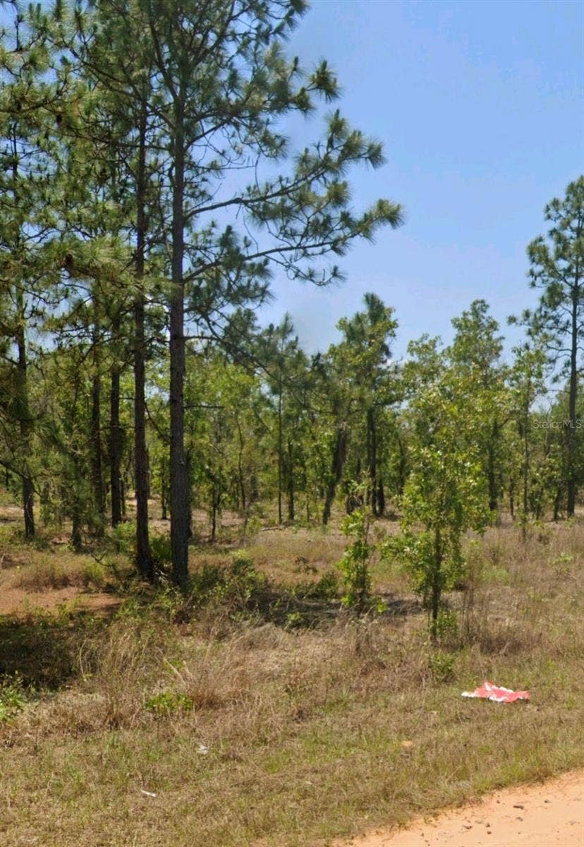 Property photo for LOT 14 15 16 AND 17 IDAHO AVENUE, Hawthorne, FL