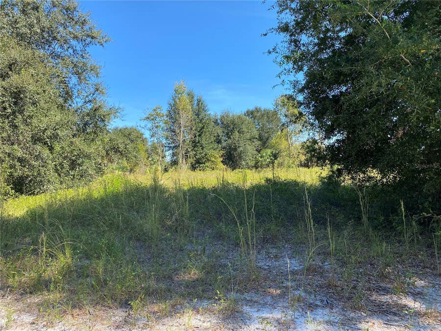 Property photo for xxxx NE 3RD CT, Citra, FL