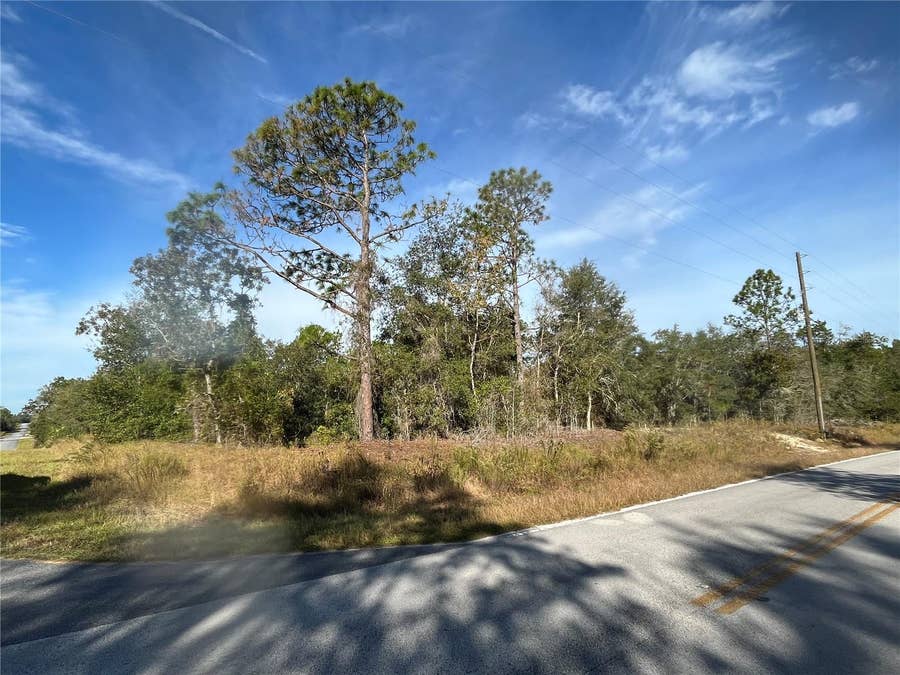 Property photo for 00 SW BREEZY POINT DRIVE, Dunnellon, FL