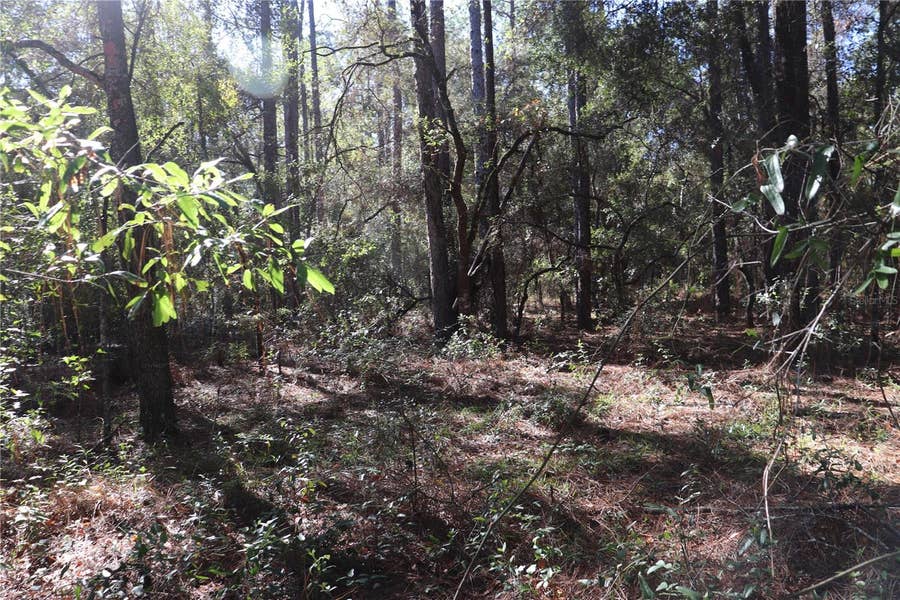 Property photo for 00 SW 39 STREET, Dunnellon, FL