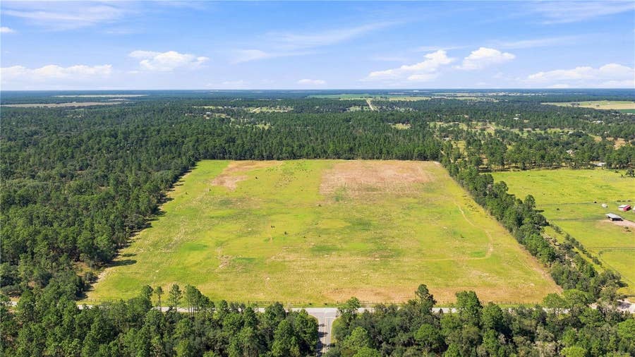 Property photo for 14231 SE 80TH STREET, Morriston, FL