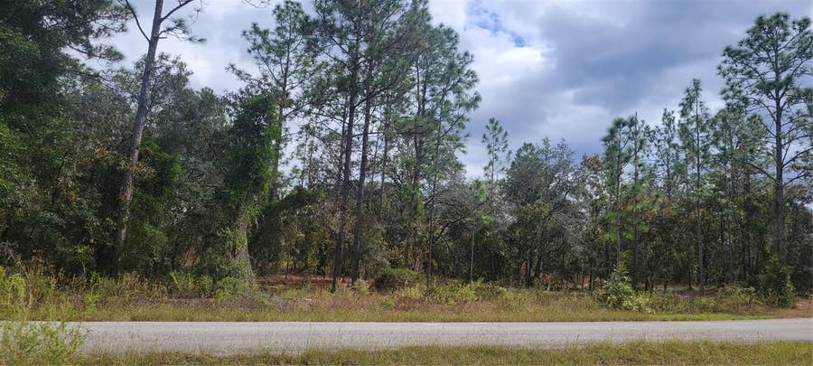 Property photo for 0 SW ARROW LEAF TRAIL, Dunnellon, FL