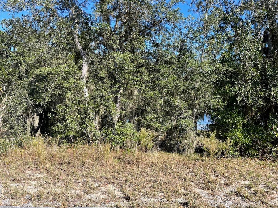 Property photo for LOTS 444, 445 SW SHOREWOOD DRIVE, Dunnellon, FL