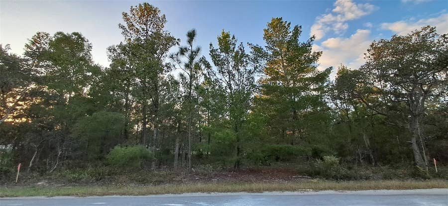 Property photo for 0 FISHER COURSE, #9, Ocklawaha, FL