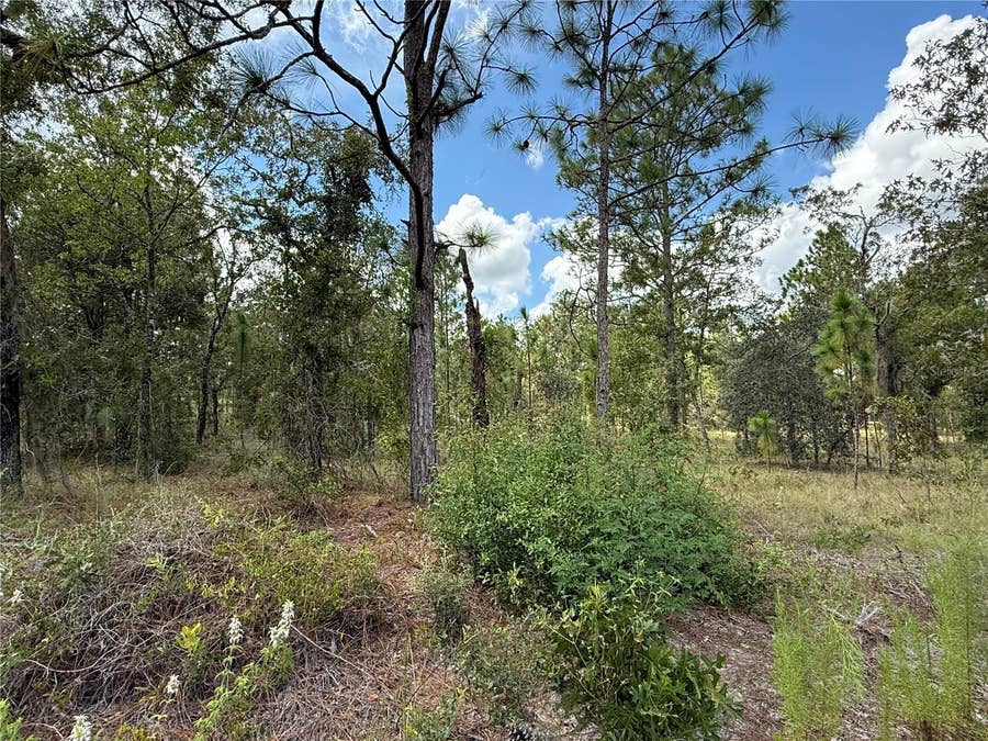 Property photo for DEER PARK HEIGHTS SW, Dunnellon, FL