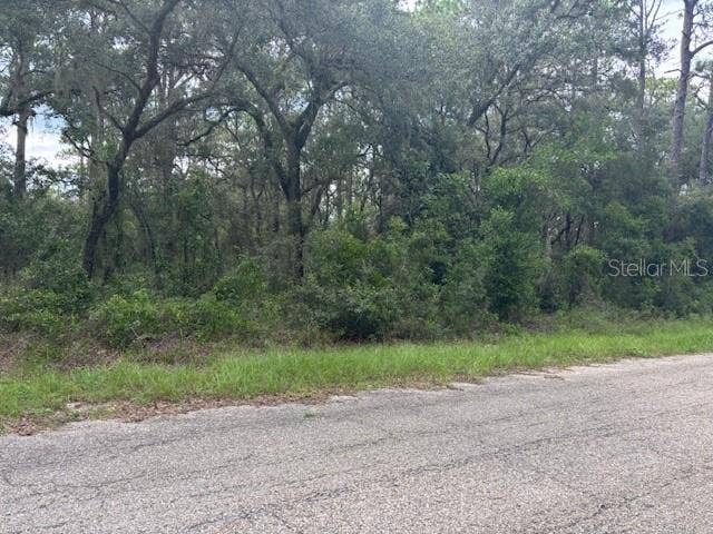 Property photo for 0000 SE 124TH COURT, Dunnellon, FL