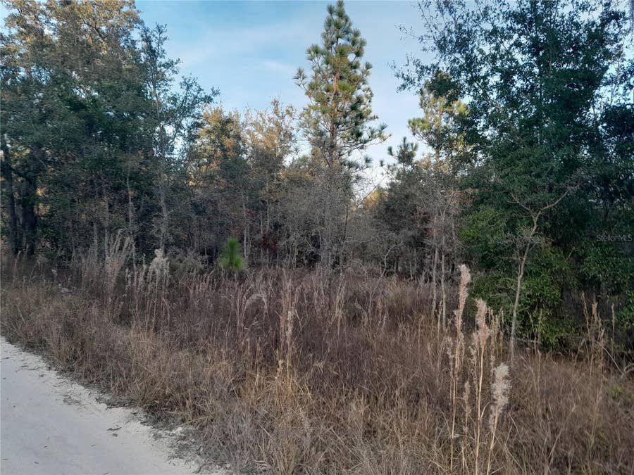 Property photo for 1531 NE 123RD AVENUE, Williston, FL