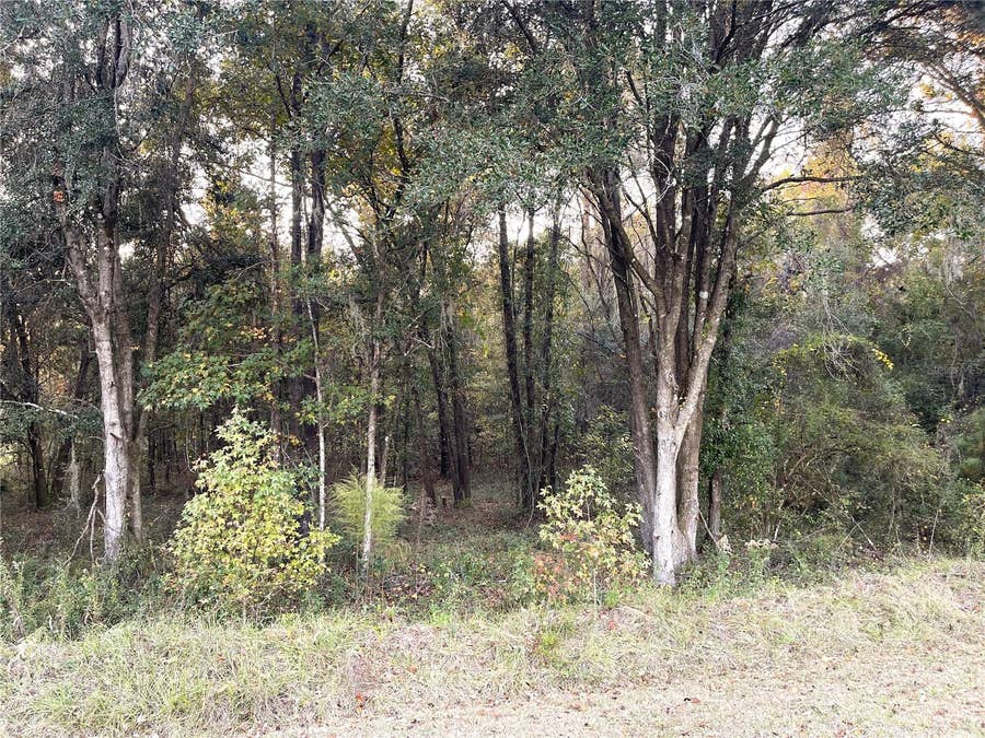 Property photo for NW 145TH AVE LOT 25, Williston, FL