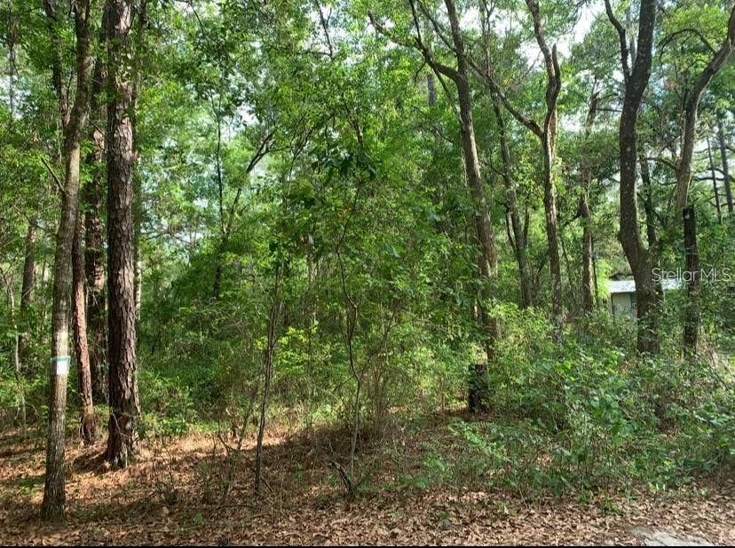 Property photo for 0 NE 226TH STREET, #58, Fort Mc Coy, FL