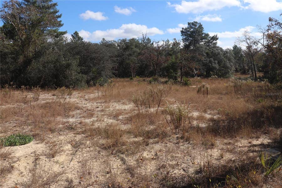 Property photo for 9097 N PEEWEE POINT, Dunnellon, FL
