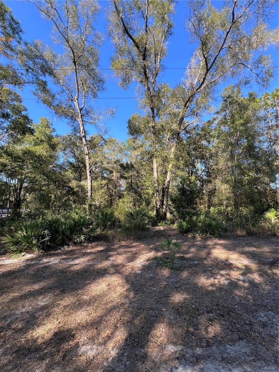 Property photo for TBD SE 179TH PLACE, Summerfield, FL