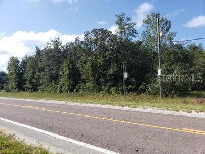 Property photo for 341 S COUNTY ROAD 315, Interlachen, FL