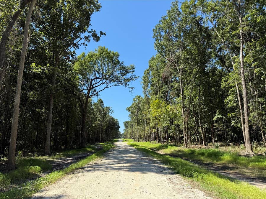 Property photo for DR #7 (10ac) NW 193RD ST, Micanopy, FL