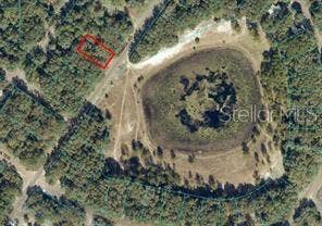 Property photo for ORANGE RD, Ocklawaha, FL